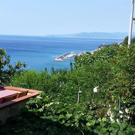 팜스테이 La Selva *