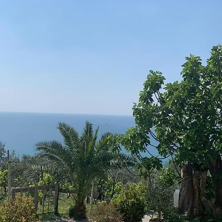 Alloggio per agriturismo La Selva *