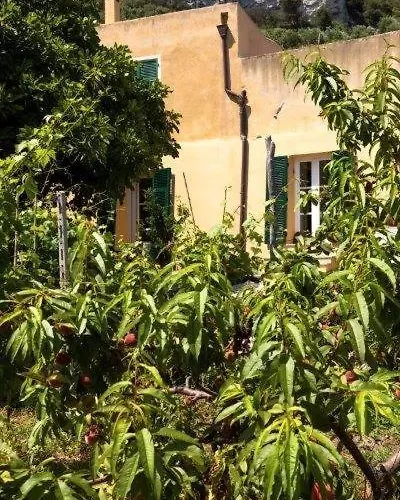 La Selva Vakantieboerderij *